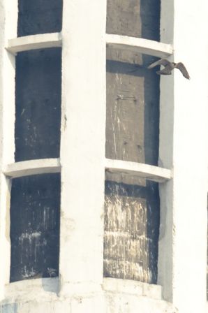 DSC_7799a.jpg, mar. 2013 DSC_7799a.jpg