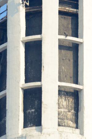 DSC_7811a.jpg, mar. 2013 DSC_7811a.jpg