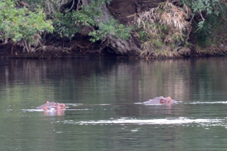 DSF_2357.jpg, fév. 2014 DSF_2357.jpg