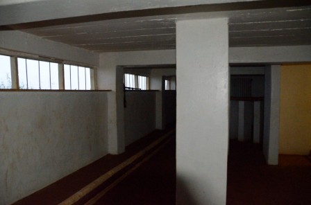 DSD_6929.JPG, fév. 2014 DSD_6929.JPG