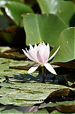 Nom du fichier=DSG_0977.JPG
Taille du fichier=303Ko
Dimensions : 1365x2048
Ajouté le : 24 Juin 2017 DSG_0977.JPG