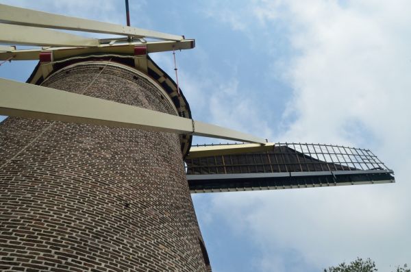 Cliquer pour voir l'image en taille réelle