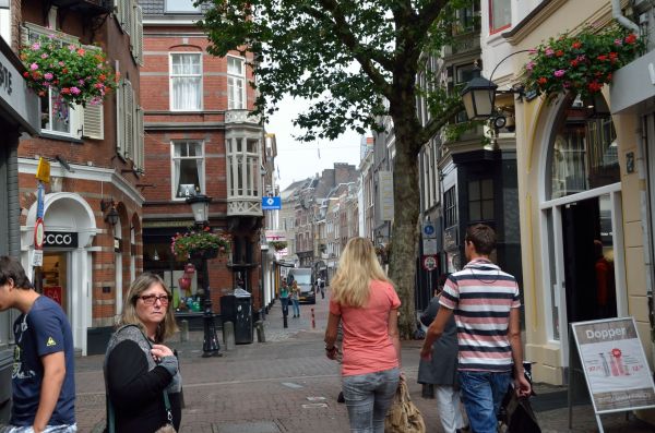 Cliquer pour voir l'image en taille réelle