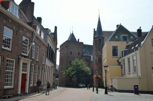 Cliquer pour voir l'image en taille réelle