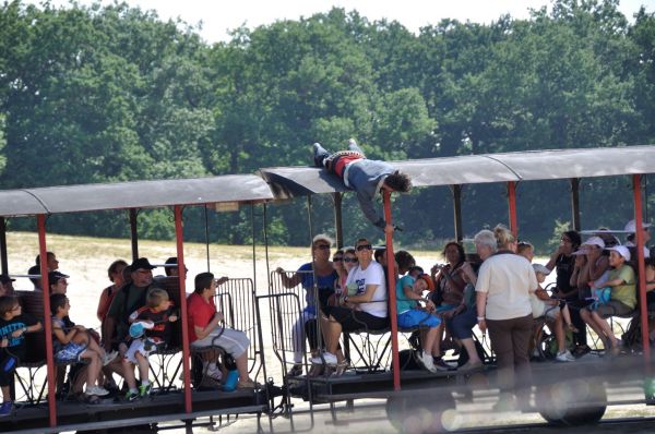 Cliquer pour voir l'image en taille réelle