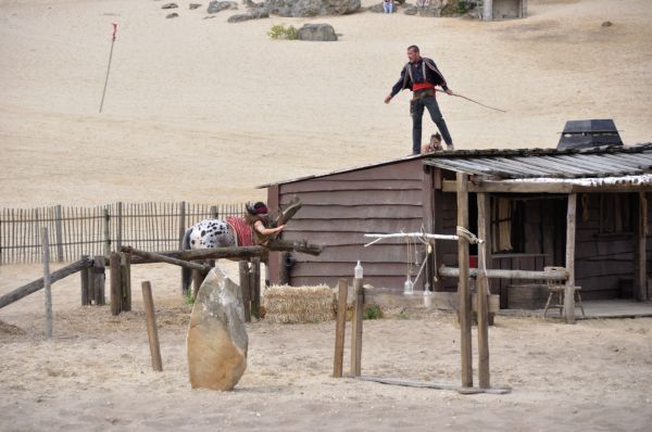 Cliquer pour voir l'image en taille réelle