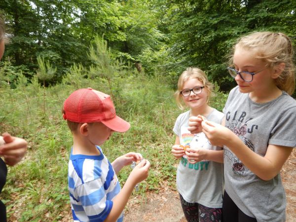 Cliquer pour voir l'image en taille réelle