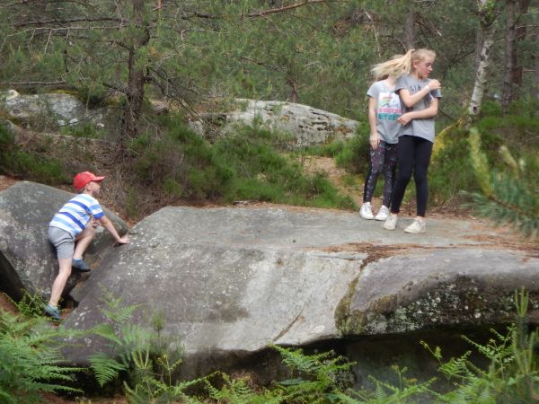 Klik op de foto om originele grootte te bekijken