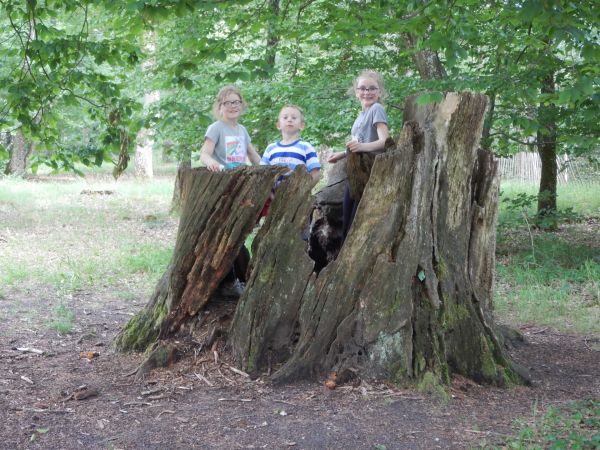 Pulsa para ver la imagen a tamaño completo