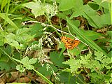 Nom du fichier=DSCN2992a.JPG
Taille du fichier=375Ko
Dimensions : 1920x1440
Ajouté le : 27 Mai 2018 DSCN2992a.JPG
