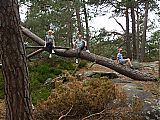 Nom du fichier=DSCN3017a.JPG
Taille du fichier=691Ko
Dimensions : 1920x1440
Ajouté le : 27 Mai 2018 DSCN3017a.JPG