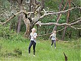 Nom du fichier=DSCN3018a.JPG
Taille du fichier=542Ko
Dimensions : 1920x1440
Ajouté le : 27 Mai 2018 DSCN3018a.JPG
