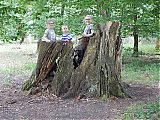 Nom du fichier=DSCN3025a.JPG
Taille du fichier=699Ko
Dimensions : 1920x1440
Ajouté le : 27 Mai 2018 DSCN3025a.JPG