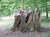 Nom du fichier=DSCN3028a.JPG
Taille du fichier=663Ko
Dimensions : 1920x1440
Ajouté le : 27 Mai 2018 DSCN3028a.JPG