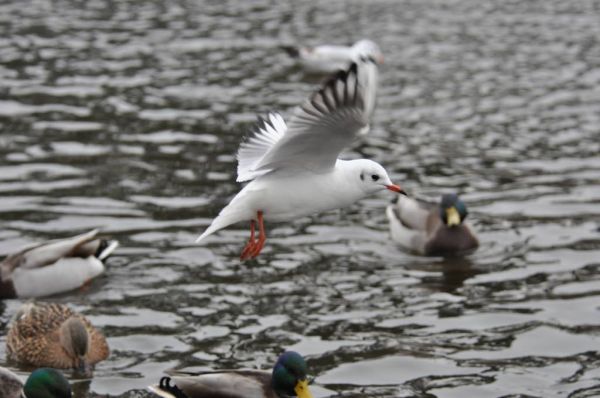 Pulsa para ver la imagen a tamaño completo