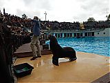 Nom du fichier=DSCN1865.JPG
Taille du fichier=386Ko
Dimensions : 2048x1536
Ajouté le : 09 Octobre 2017 DSCN1865.JPG