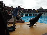 Nom du fichier=DSCN1866.JPG
Taille du fichier=375Ko
Dimensions : 2048x1536
Ajouté le : 09 Octobre 2017 DSCN1866.JPG