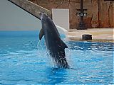 Nom du fichier=DSCN1869.JPG
Taille du fichier=410Ko
Dimensions : 2048x1536
Ajouté le : 09 Octobre 2017 DSCN1869.JPG