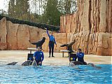 Nom du fichier=DSCN1872.JPG
Taille du fichier=490Ko
Dimensions : 2048x1536
Ajouté le : 09 Octobre 2017 DSCN1872.JPG