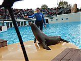 Nom du fichier=DSCN1885.JPG
Taille du fichier=530Ko
Dimensions : 2048x1536
Ajouté le : 09 Octobre 2017 DSCN1885.JPG