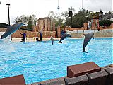 Nom du fichier=DSCN1892.JPG
Taille du fichier=441Ko
Dimensions : 2048x1536
Ajouté le : 09 Octobre 2017 DSCN1892.JPG