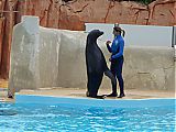 Nom du fichier=DSCN1896.JPG
Taille du fichier=361Ko
Dimensions : 2048x1536
Ajouté le : 09 Octobre 2017 DSCN1896.JPG