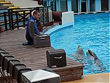 Nom du fichier=DSCN1902.JPG
Taille du fichier=426Ko
Dimensions : 2048x1536
Ajouté le : 09 Octobre 2017 DSCN1902.JPG