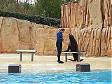 Nom du fichier=DSCN1904.JPG
Taille du fichier=456Ko
Dimensions : 2048x1536
Ajouté le : 09 Octobre 2017 DSCN1904.JPG