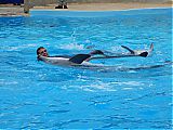 Nom du fichier=DSCN1907.JPG
Taille du fichier=436Ko
Dimensions : 2048x1536
Ajouté le : 09 Octobre 2017 DSCN1907.JPG