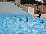 Nom du fichier=DSCN1924.JPG
Taille du fichier=462Ko
Dimensions : 2048x1536
Ajouté le : 09 Octobre 2017 DSCN1924.JPG