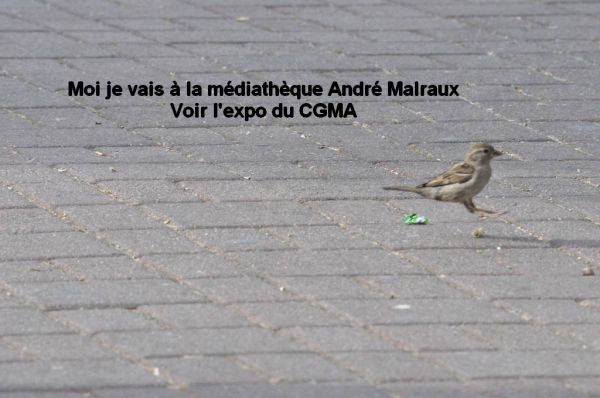 Cliquer pour voir l'image en taille réelle