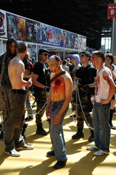 Cliquer pour voir l'image en taille réelle