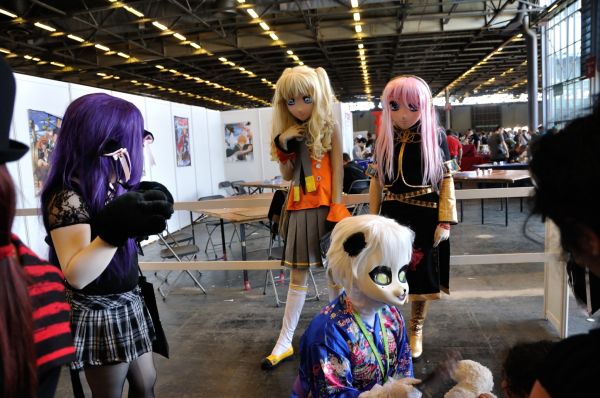 Cliquer pour voir l'image en taille réelle