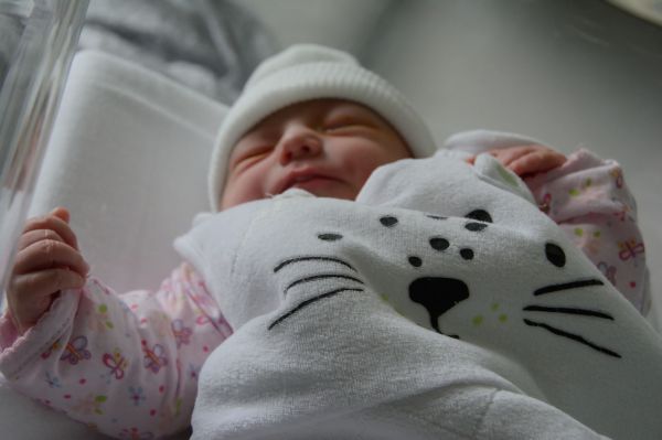 Cliquer pour voir l'image en taille réelle