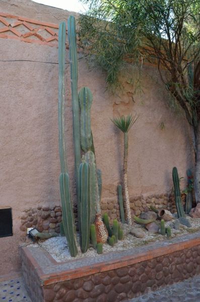 Cliquer pour voir l'image en taille réelle