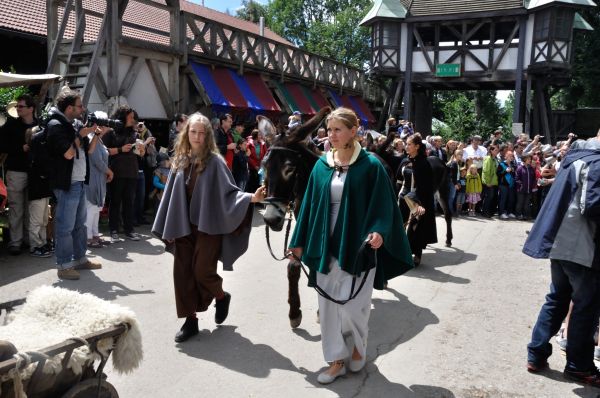 Cliquer pour voir l'image en taille réelle