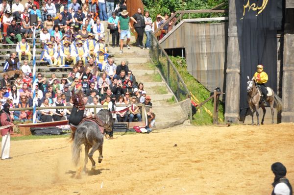 Klik op de foto om originele grootte te bekijken