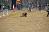 Filename=DSC_0580.JPG
Filesize=666KiB
Dimensions=2048x1360
Date added=Jul 30, 2012 DSC_0580.JPG
