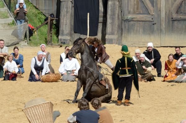 Cliquer pour voir l'image en taille réelle