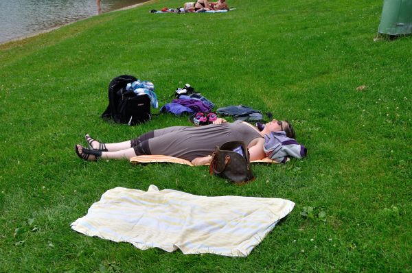 Cliquer pour voir l'image en taille réelle