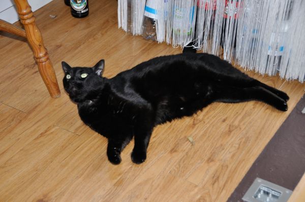 Cliquer pour voir l'image en taille réelle