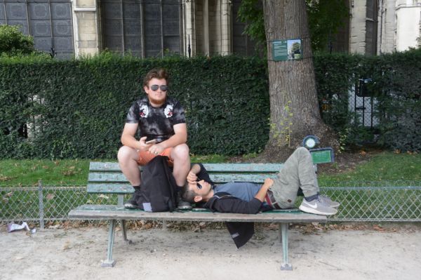 Cliquer pour voir l'image en taille réelle