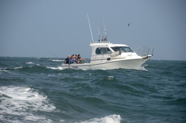 Cliquer pour voir l'image en taille réelle