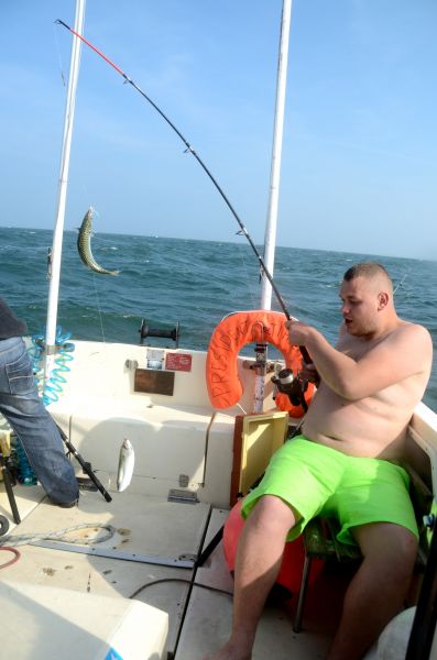 Klik op de foto om originele grootte te bekijken