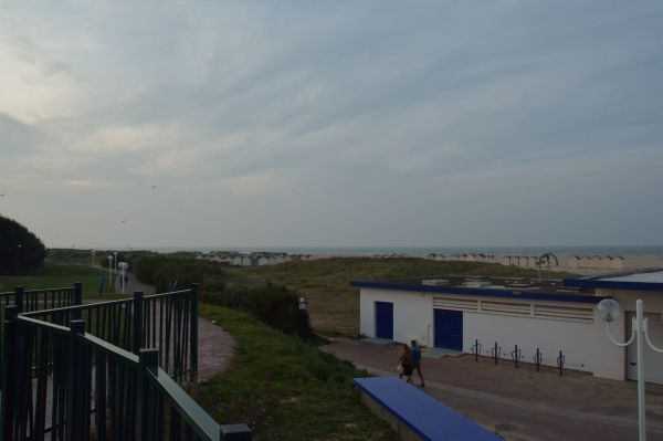 Cliquer pour voir l'image en taille réelle