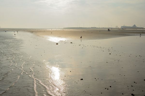 Cliquer pour voir l'image en taille réelle