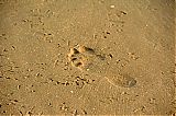 Nom du fichier=DSF_2072.jpg
Taille du fichier=662Ko
Dimensions : 2048x1365
Ajouté le : 21 Septembre 2014 DSF_2072.jpg
