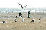 Nom du fichier=DSF_2080.jpg
Taille du fichier=346Ko
Dimensions : 2048x1365
Ajouté le : 21 Septembre 2014 DSF_2080.jpg