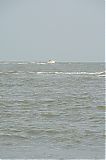 Nom du fichier=DSF_2118.JPG
Taille du fichier=218Ko
Dimensions : 1365x2048
Ajouté le : 21 Septembre 2014 DSF_2118.JPG