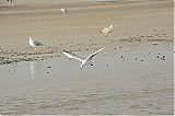 Nom du fichier=DSF_2120.JPG
Taille du fichier=251Ko
Dimensions : 2048x1365
Ajouté le : 21 Septembre 2014 DSF_2120.JPG